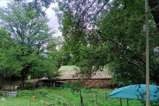 Commercial Property for Sale in Koppies Rural Free State